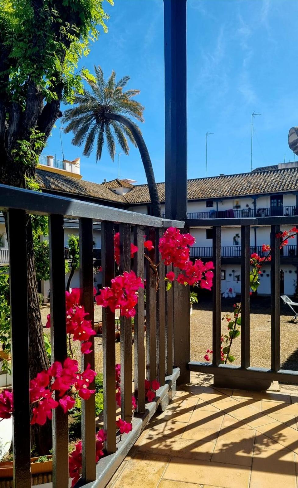 Andalusian Courtyard Apartment Seville Exterior photo