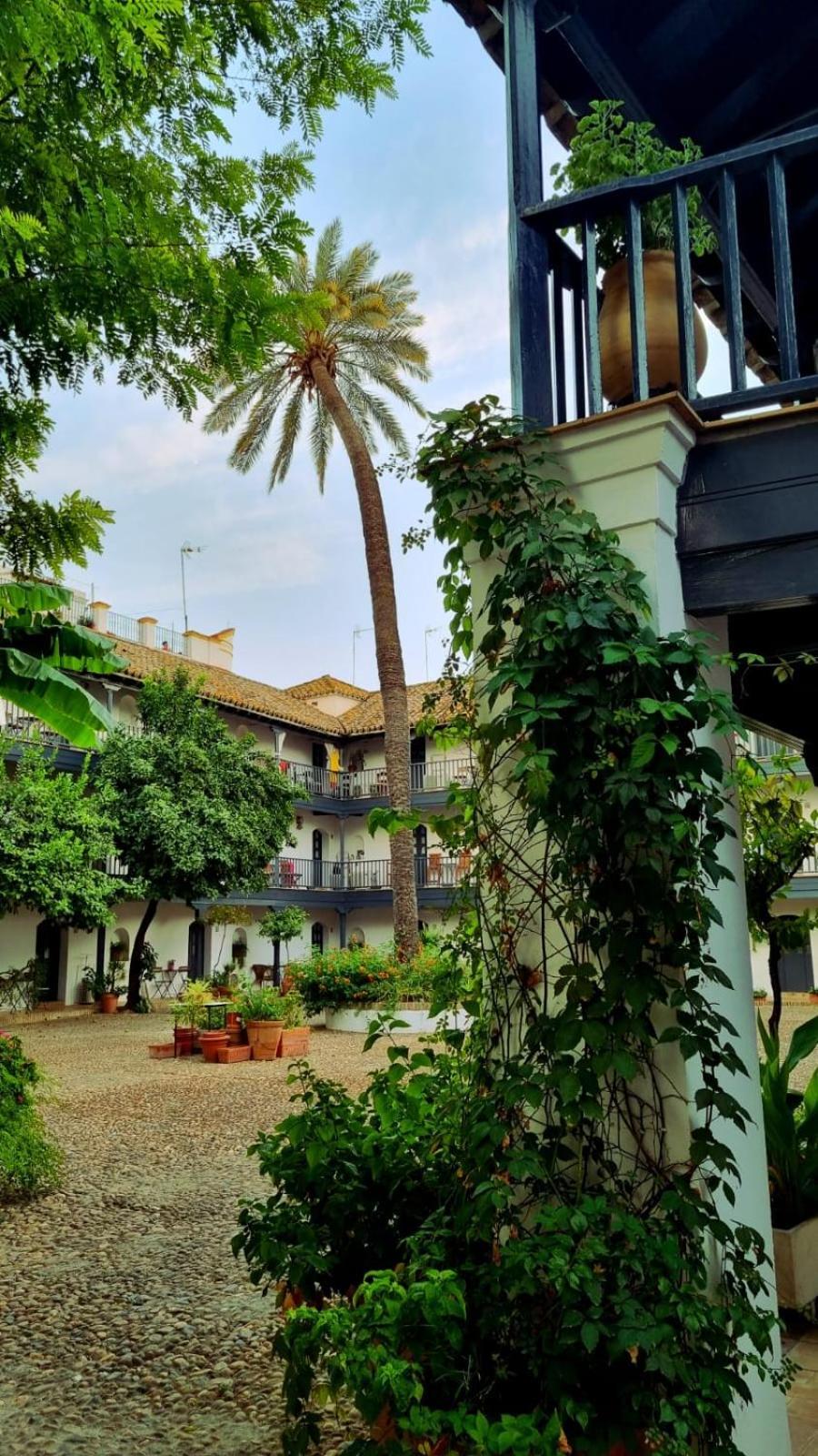Andalusian Courtyard Apartment Seville Exterior photo