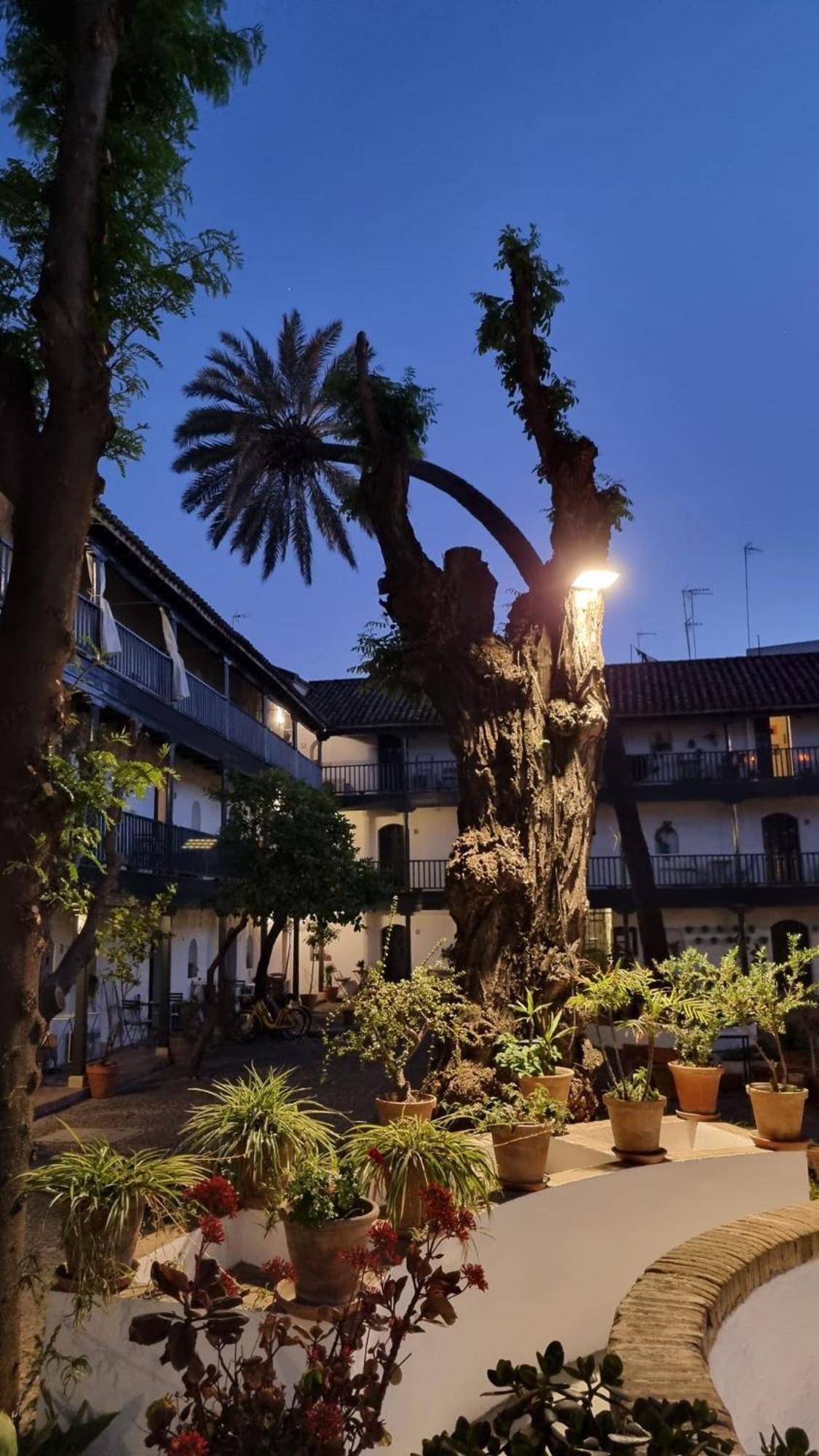 Andalusian Courtyard Apartment Seville Exterior photo