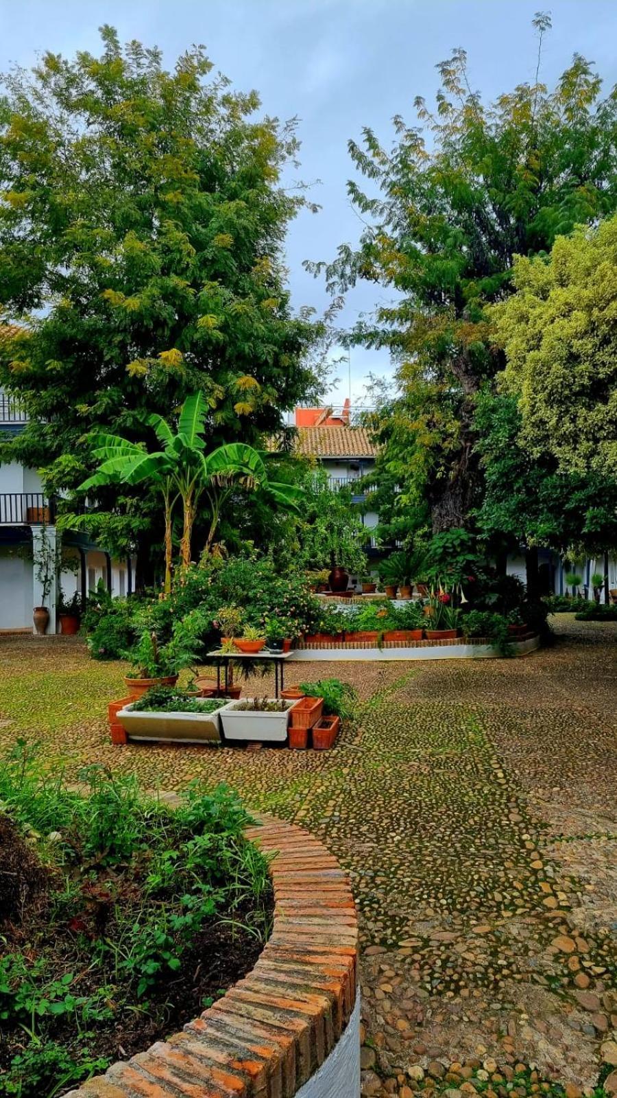 Andalusian Courtyard Apartment Seville Exterior photo