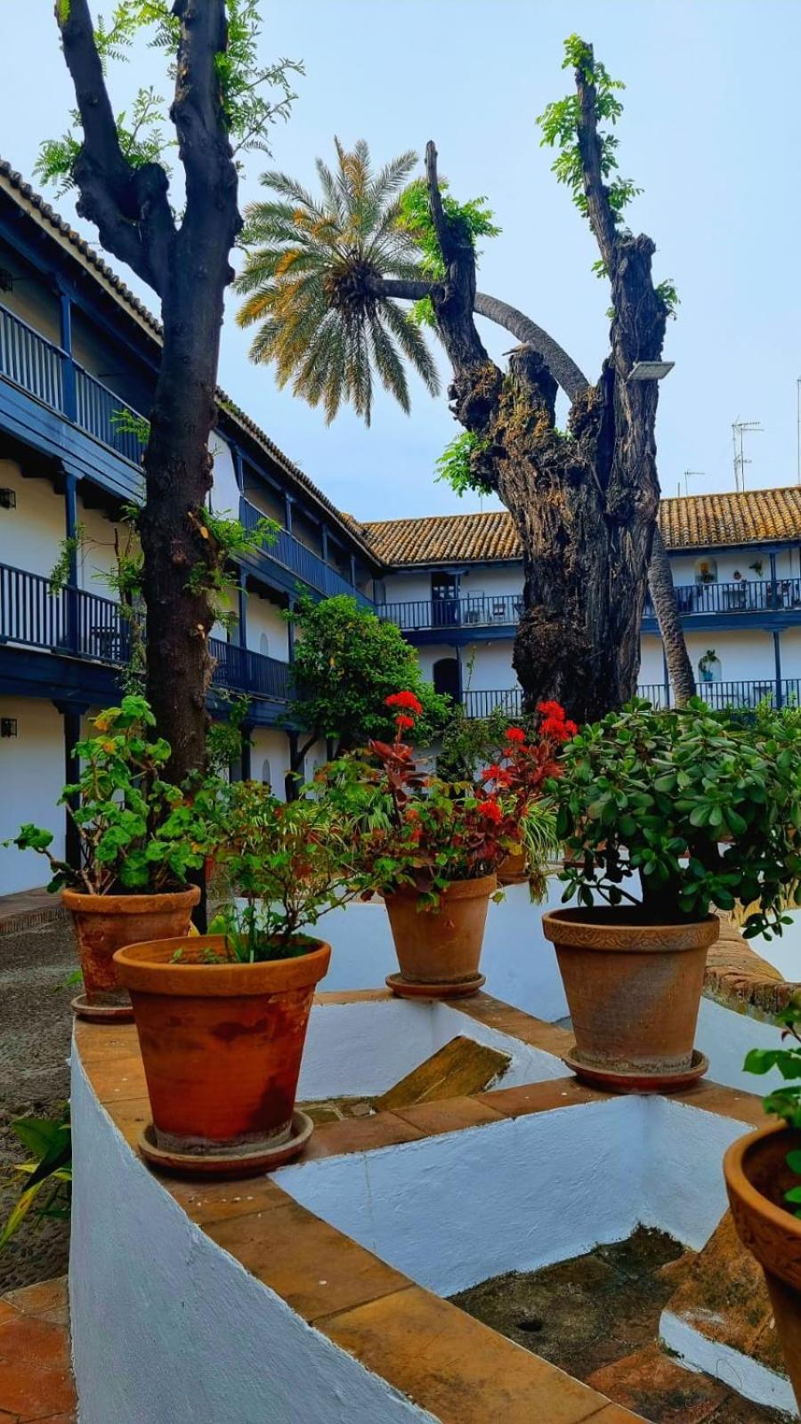 Andalusian Courtyard Apartment Seville Exterior photo