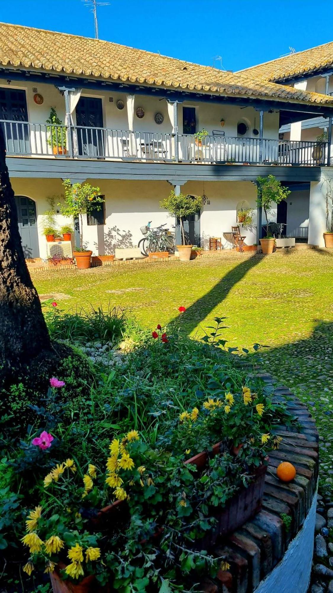 Andalusian Courtyard Apartment Seville Exterior photo
