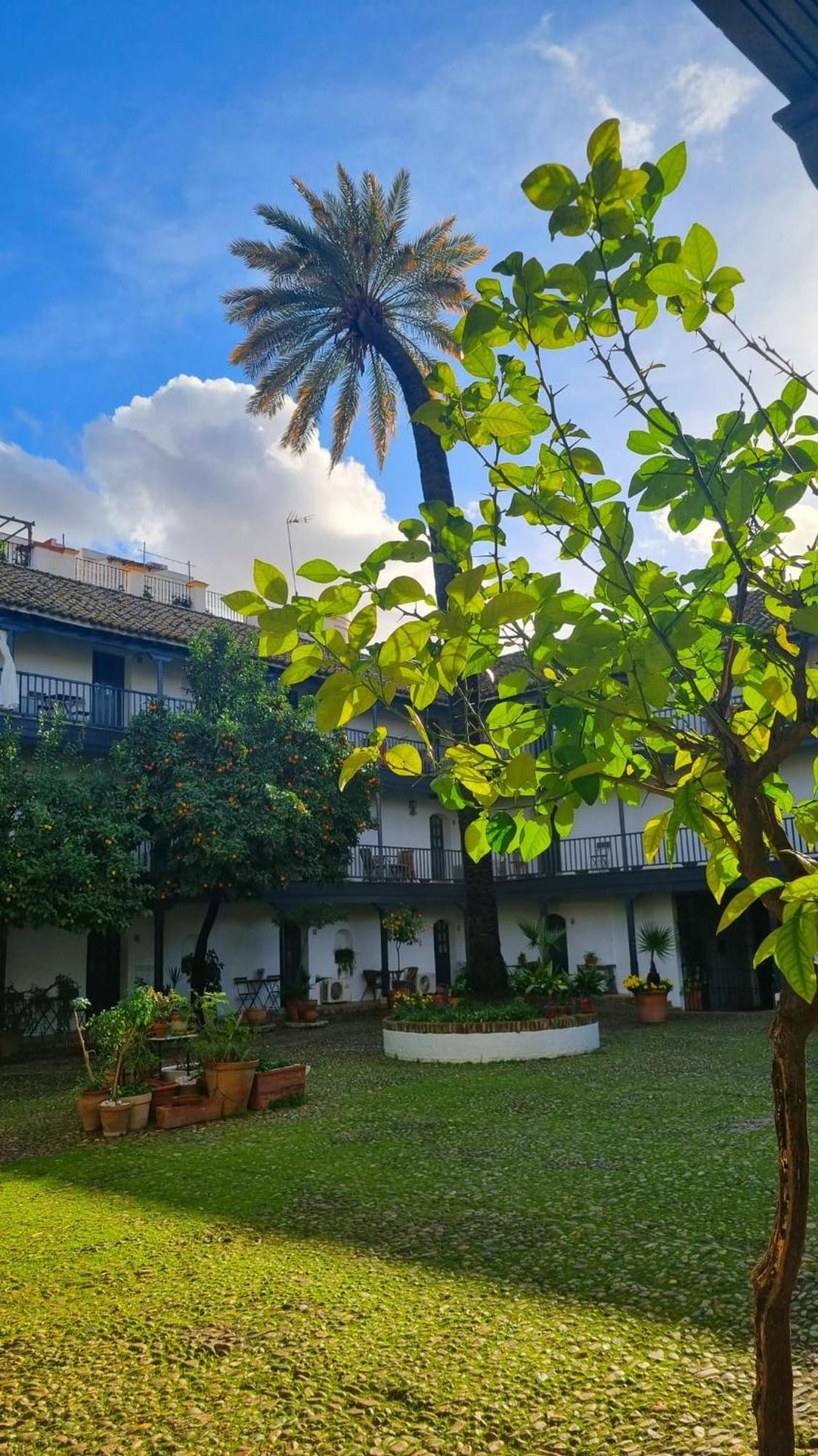 Andalusian Courtyard Apartment Seville Exterior photo