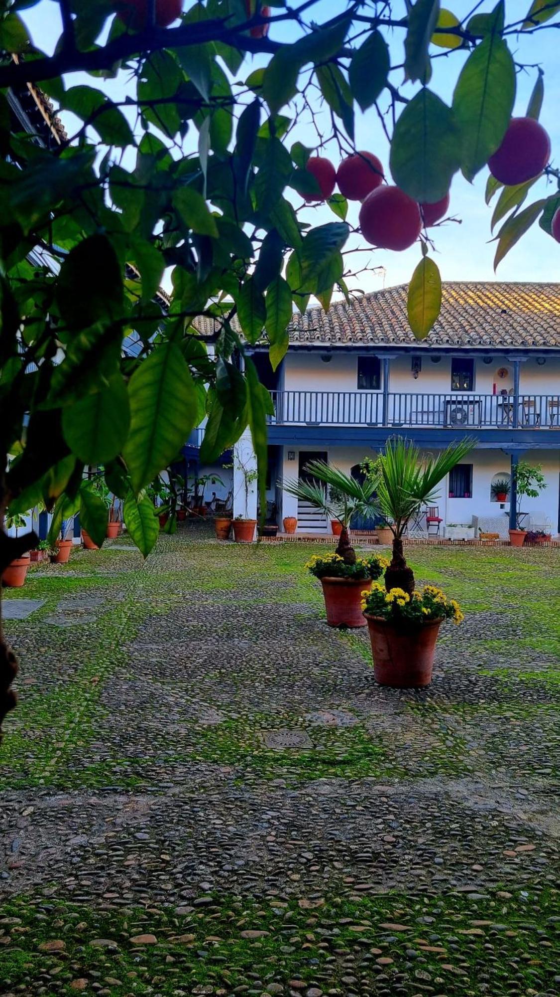 Andalusian Courtyard Apartment Seville Exterior photo